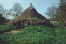 Cae'r Delyn roundhouse