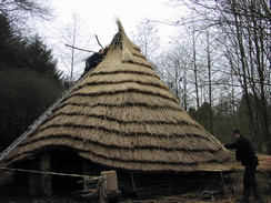 Southwest Forest roundhouse